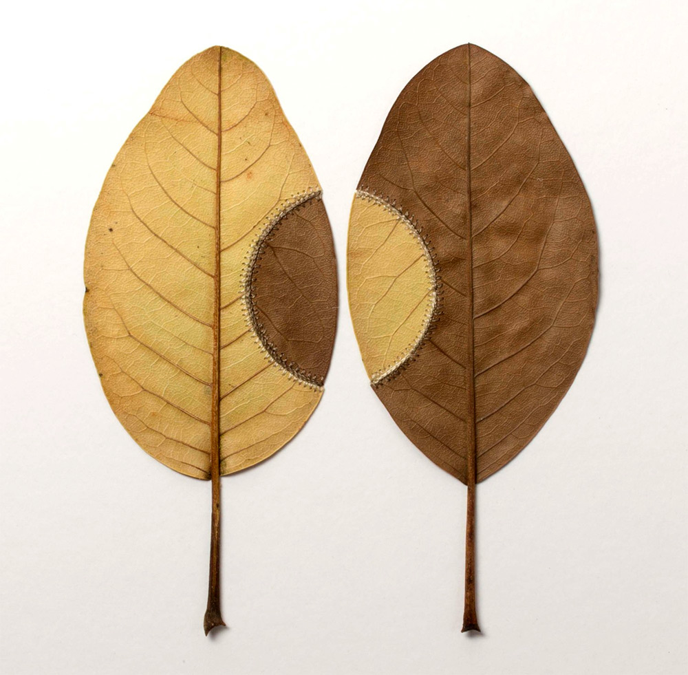 leaf-9