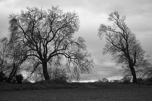 20141223-15572471-600