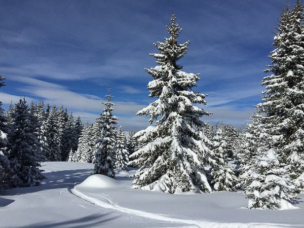 2015-01-31_11-21-04-20-600