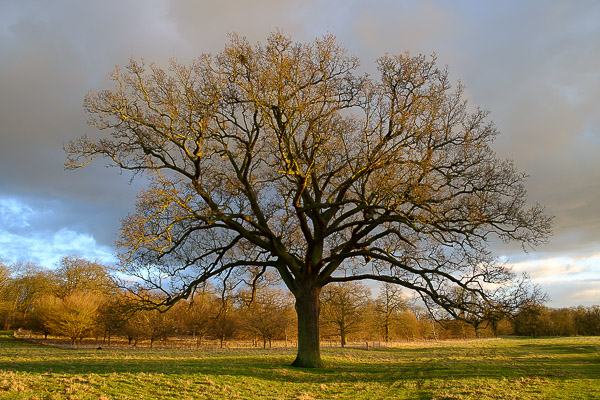 2015-02-05_16-23-00-01-600