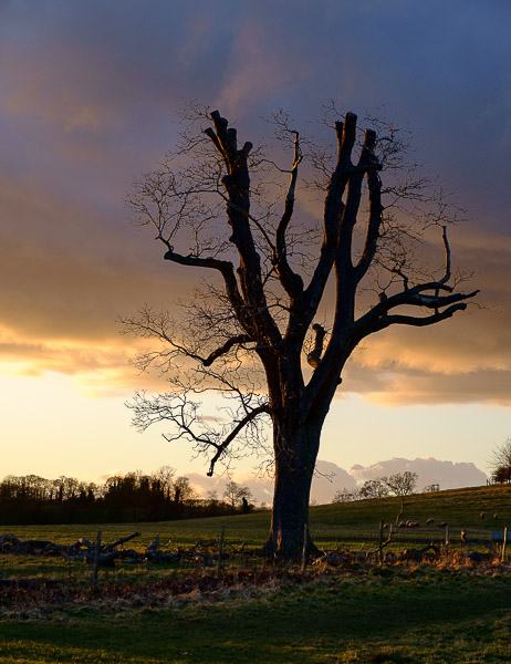 2015-02-05_16-36-48-05-600