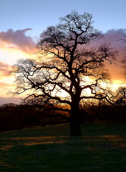 2015-02-05_16-43-29-07-600