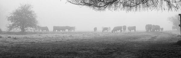 2015-04-08_07-17-34-13-Edit-600