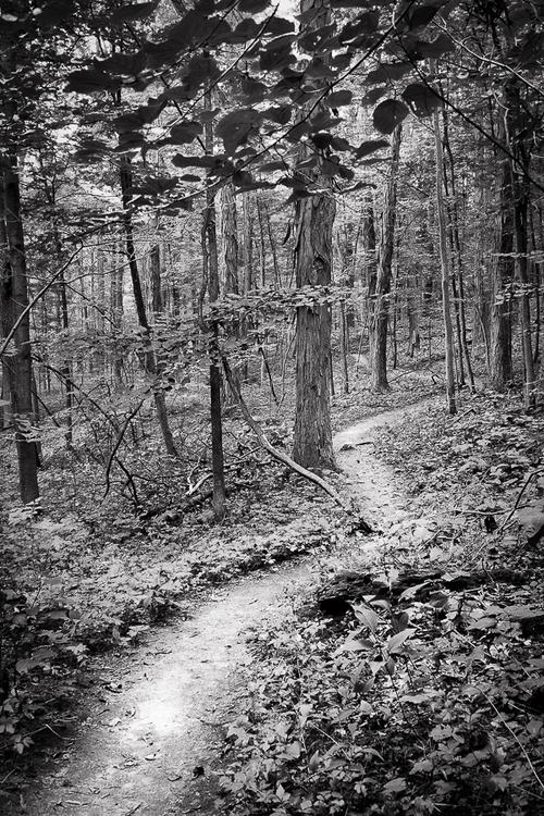 2015-08-27_20-54-05-04-Edit-900