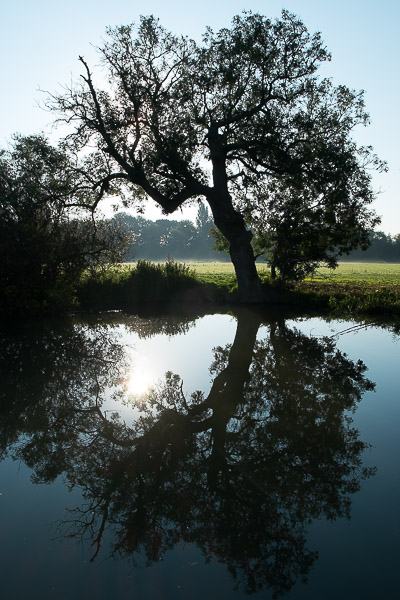 20150911-07143204-600