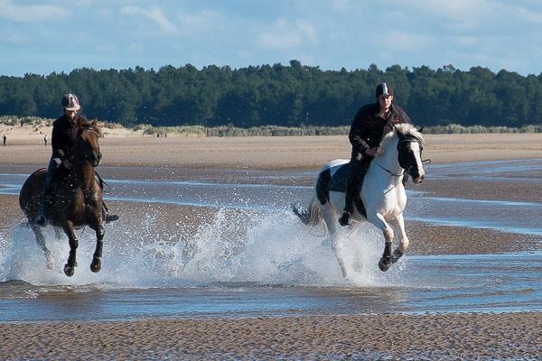 20150927-13313155-600