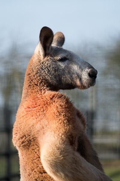 20160123-11235206-600