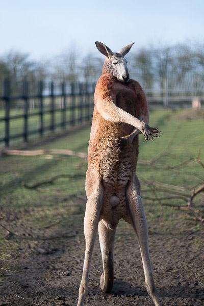 20160123-11251012-600