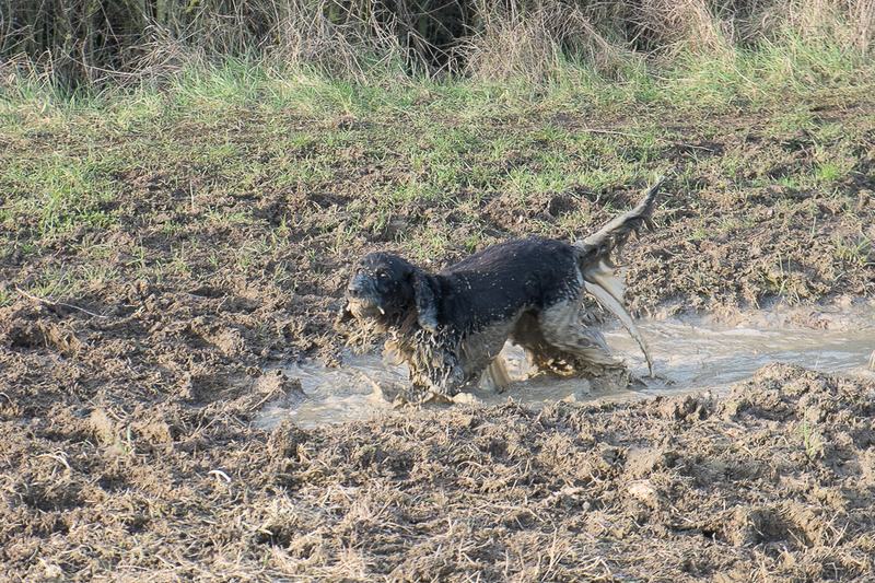 20160227-08262208-900