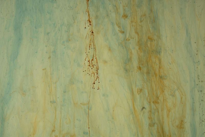 20160629-19250378-900