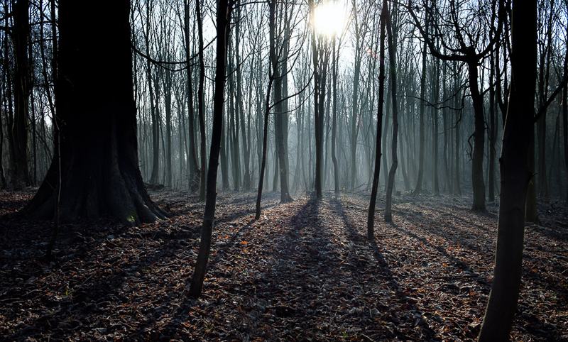 20170122-103614217-hdr-edit-900