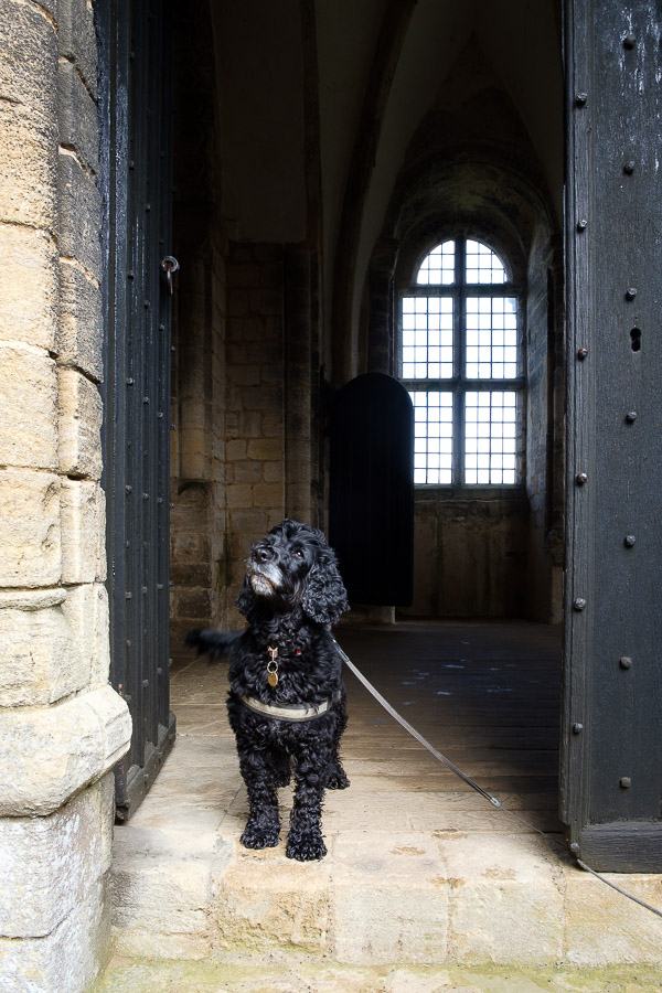Castle Rising, Norfolk