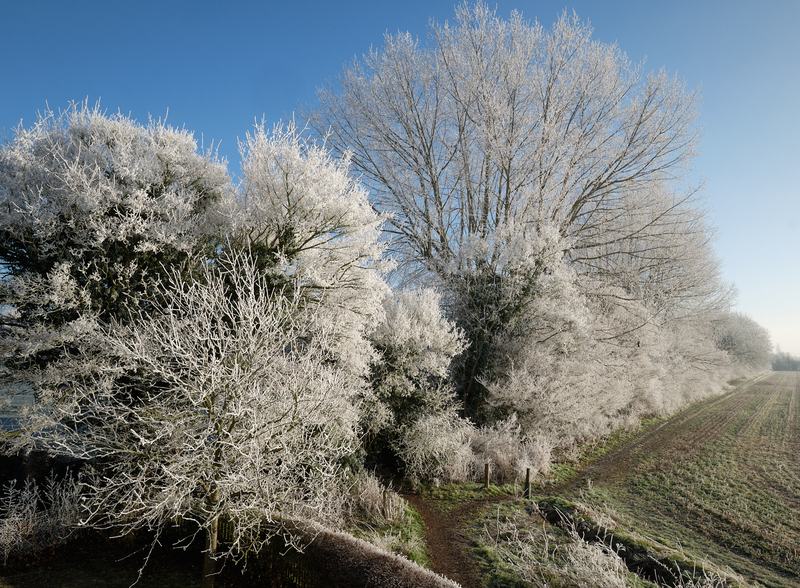 2023 01 22 10 18 31 1600