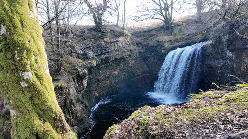 Dalcairney Falls