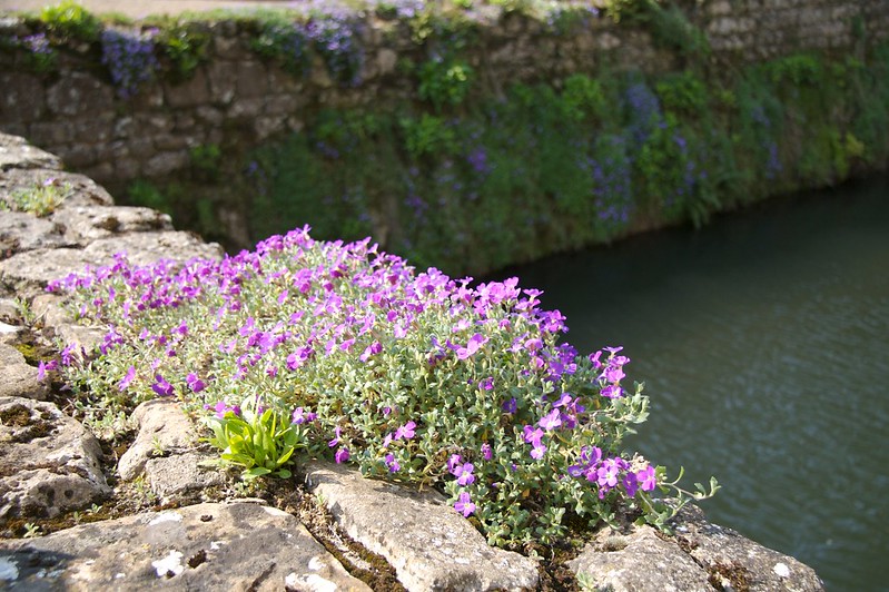 Ightham Mote, Kent