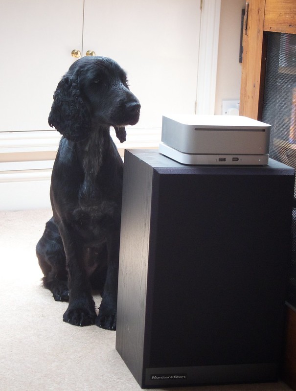 Her Master's Voice