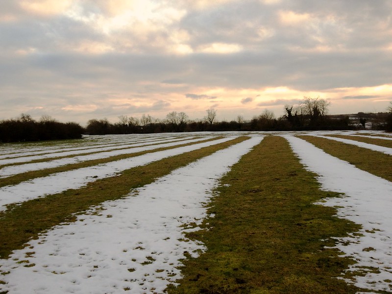 Ridge and Furrow