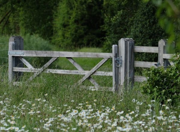 A gate in Coton