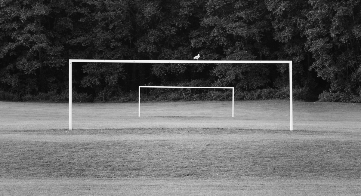 A photo of two almost perfectly aligned goalposts with one seagull sitting not quite in the middle.