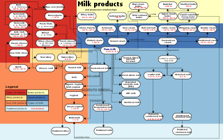 Thumbnail of 'Milk products' flowchart
