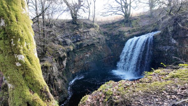 Dalcairney Falls
